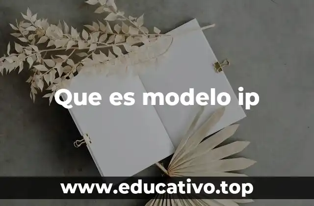 Que es modelo ip