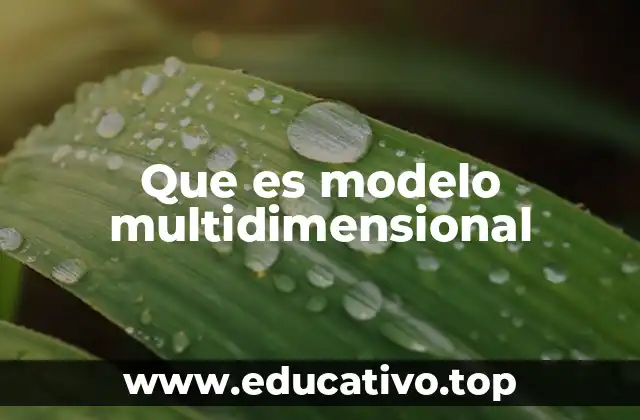 Que es modelo multidimensional