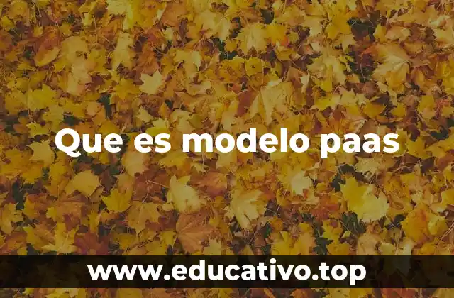 Que es modelo paas