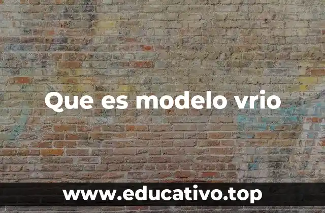 Que es modelo vrio