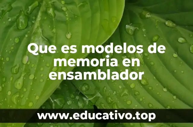 Que es modelos de memoria en ensamblador