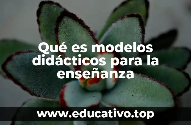 Qué es modelos didácticos para la enseñanza