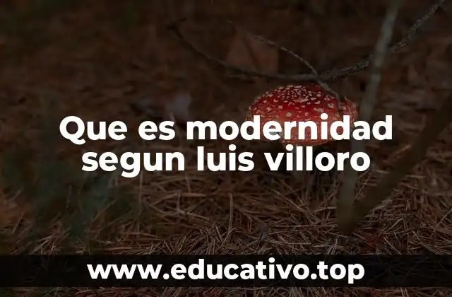 Que es modernidad segun luis villoro