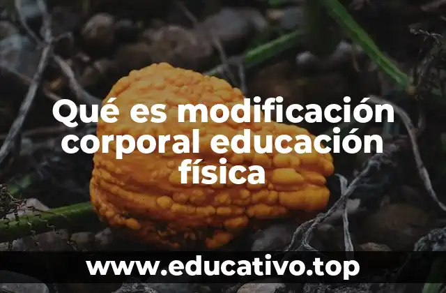 El rol de la educación física en el desarrollo corporal