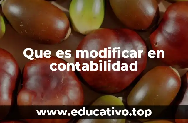 Que es modificar en contabilidad