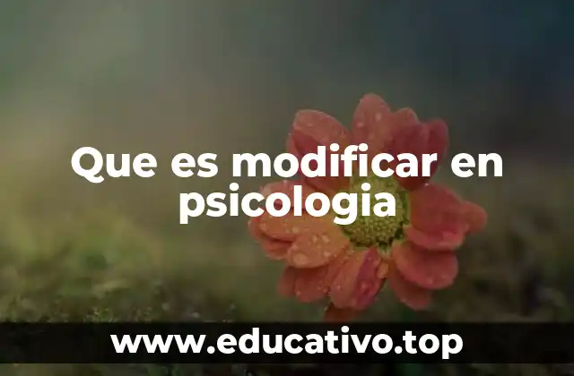 Que es modificar en psicologia