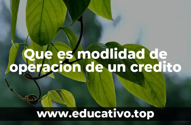 Cómo se define la operación de un crédito sin mencionar directamente el término