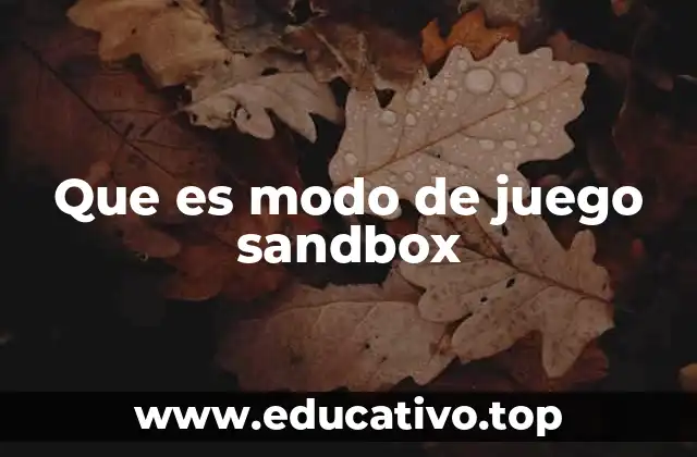 Que es modo de juego sandbox