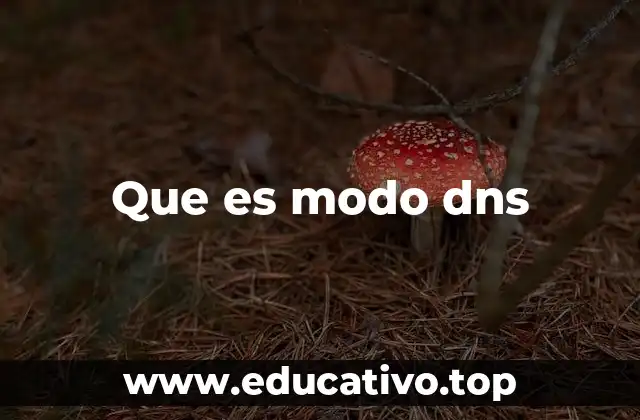 Que es modo dns