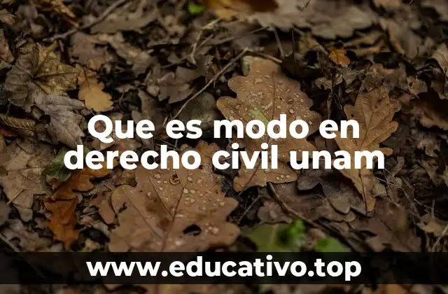 El papel del modo en la validez de los actos jurídicos