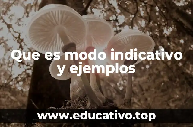 Que es modo indicativo y ejemplos