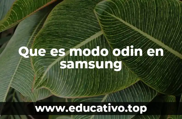 Que es modo odin en samsung