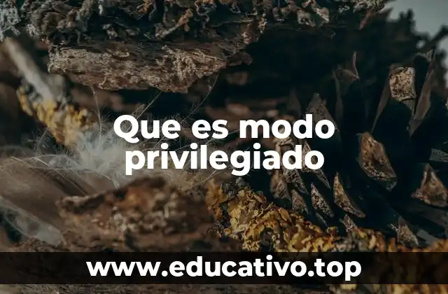 Que es modo privilegiado