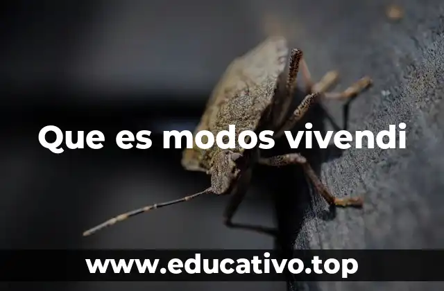 Que es modos vivendi