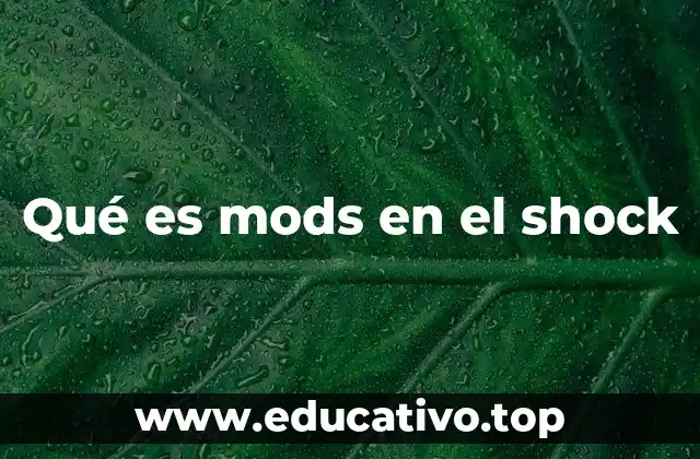 Qué es mods en el shock