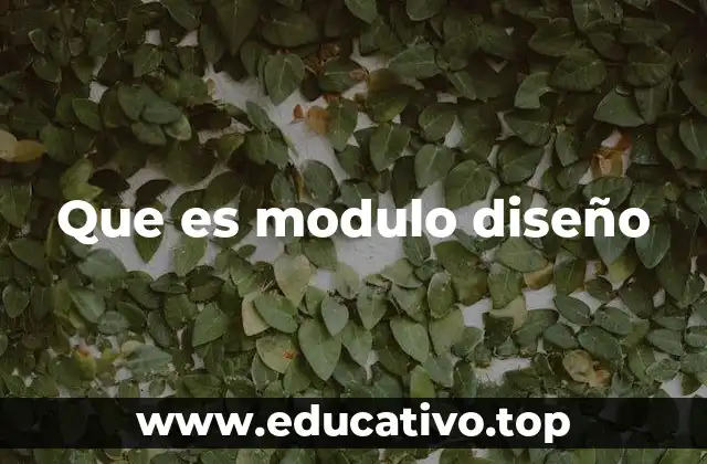 Que es modulo diseño