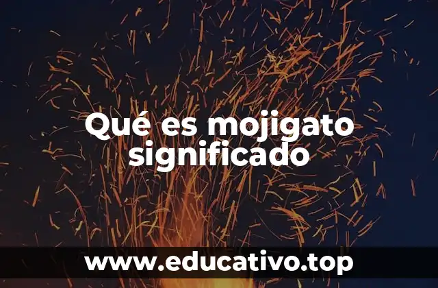 Qué es mojigato significado