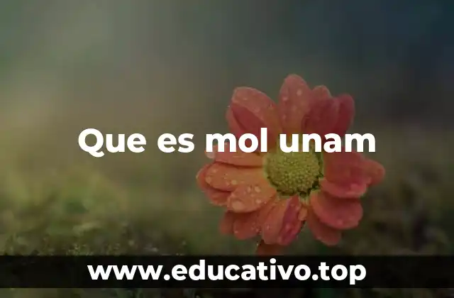 Que es mol unam