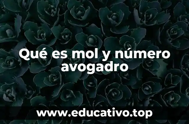 Qué es mol y número avogadro