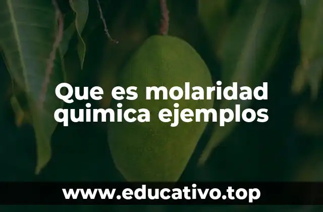 Que es molaridad quimica ejemplos