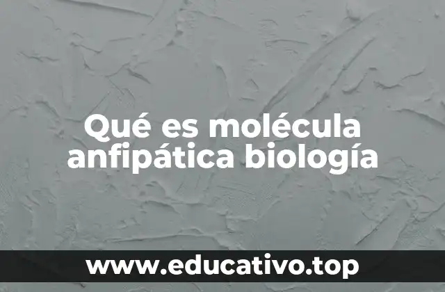 Qué es molécula anfipática biología
