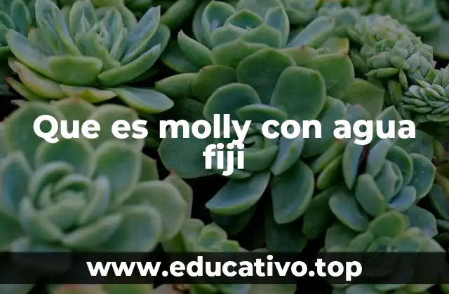 Que es molly con agua fiji