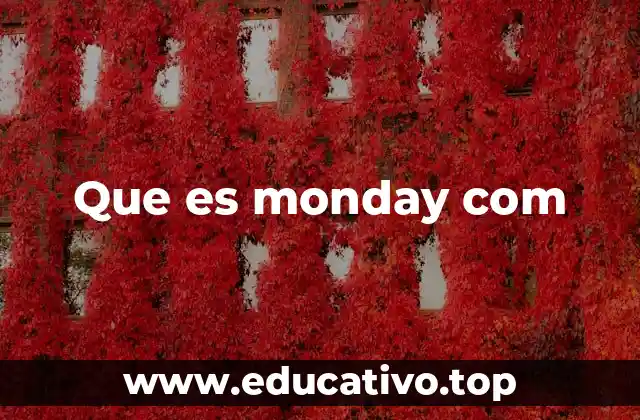 Que es monday com
