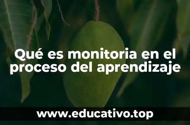 Qué es monitoria en el proceso del aprendizaje