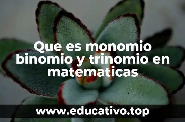Que es monomio binomio y trinomio en matematicas