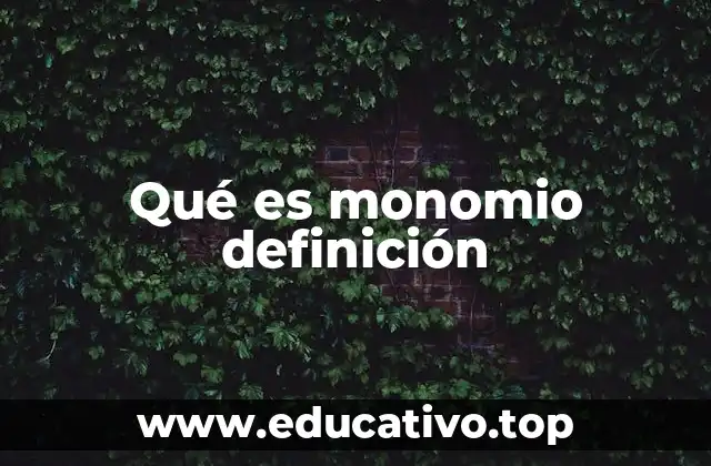 Qué es monomio definición