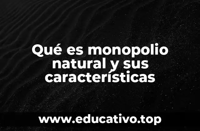 Qué es monopolio natural y sus características