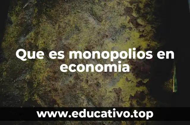 Que es monopolios en economia