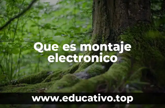 Que es montaje electronico