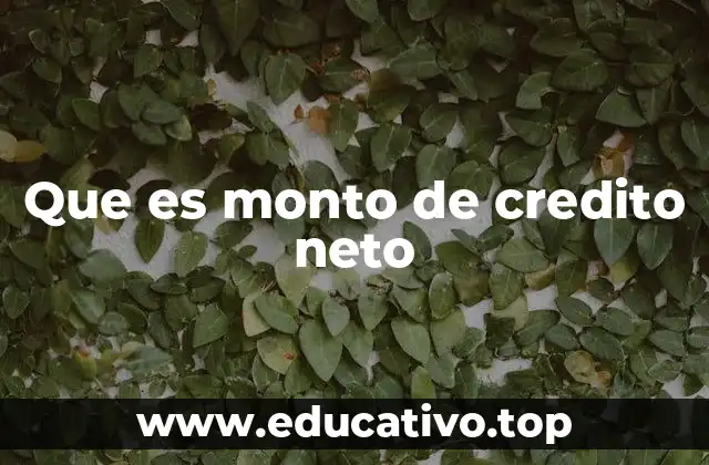 Que es monto de credito neto
