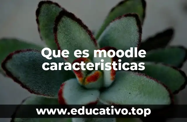 Que es moodle caracteristicas
