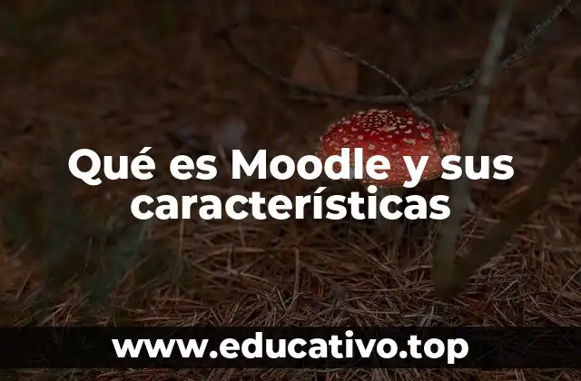 Qué es Moodle y sus características