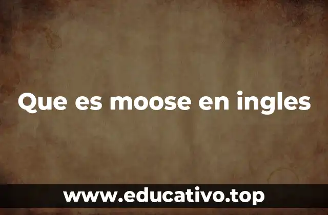 Que es moose en ingles