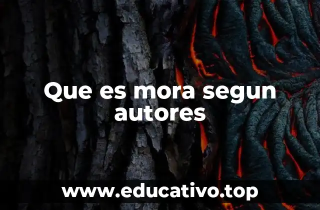 Que es mora segun autores