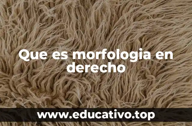 Que es morfologia en derecho