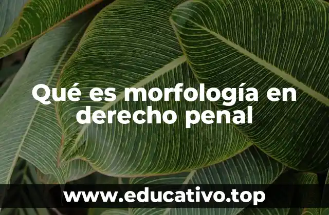 Qué es morfología en derecho penal