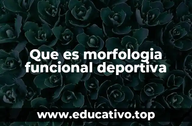 Que es morfologia funcional deportiva