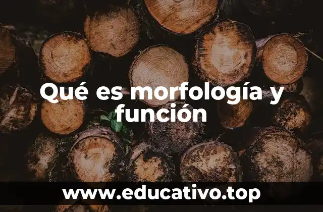 Qué es morfología y función