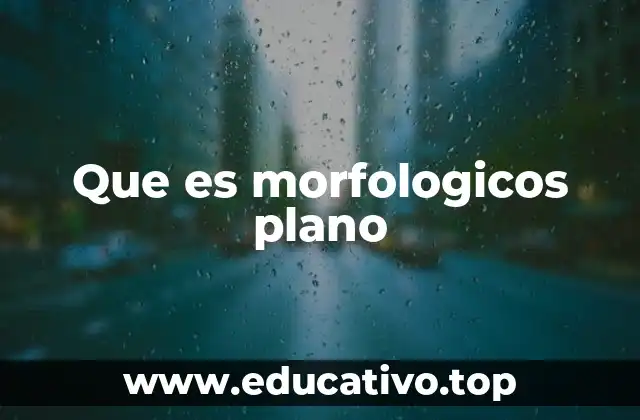 Que es morfologicos plano