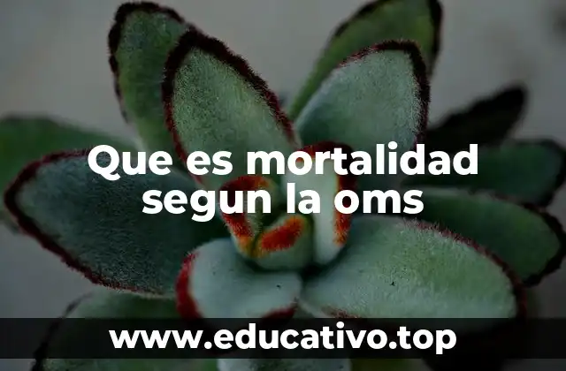 Que es mortalidad segun la oms