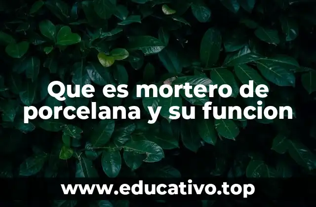Uso y ventajas del mortero de porcelana