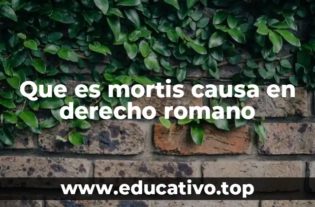 Que es mortis causa en derecho romano