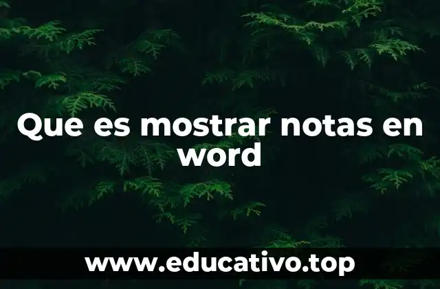 Que es mostrar notas en word