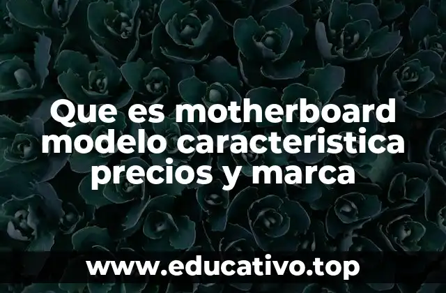 Factores clave a considerar al elegir una placa base