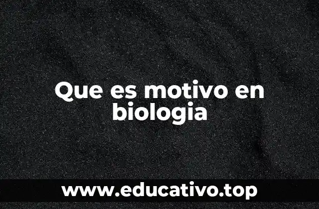 La importancia de los motivos en la biología molecular