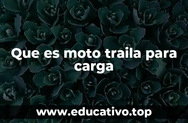 Que es moto traila para carga